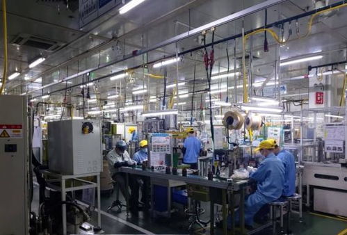 私家車、閑置房與“低收入人群”標(biāo)簽 理解當(dāng)下經(jīng)濟(jì)現(xiàn)象的多元視角